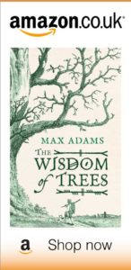 Purchase Wisdom of Trees