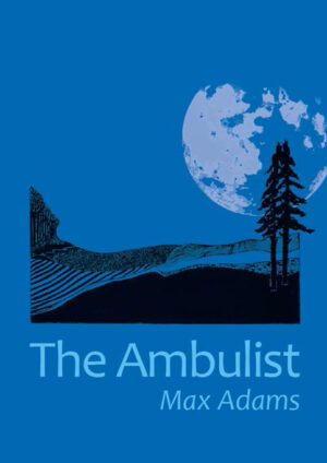 The Ambulist (Hardback fiction, 2016)